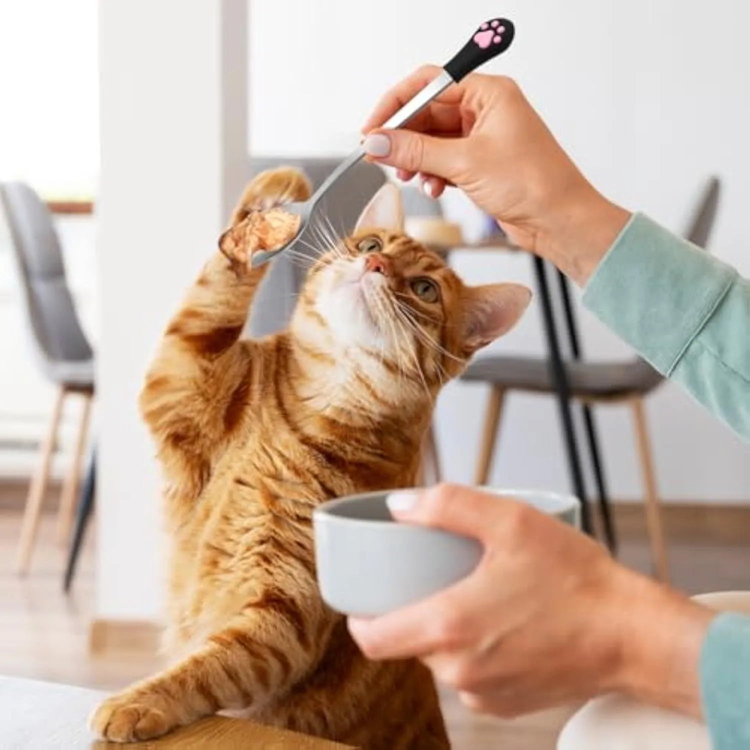 White and black stainless steel pet food spoons with cat paw print and silicone handle