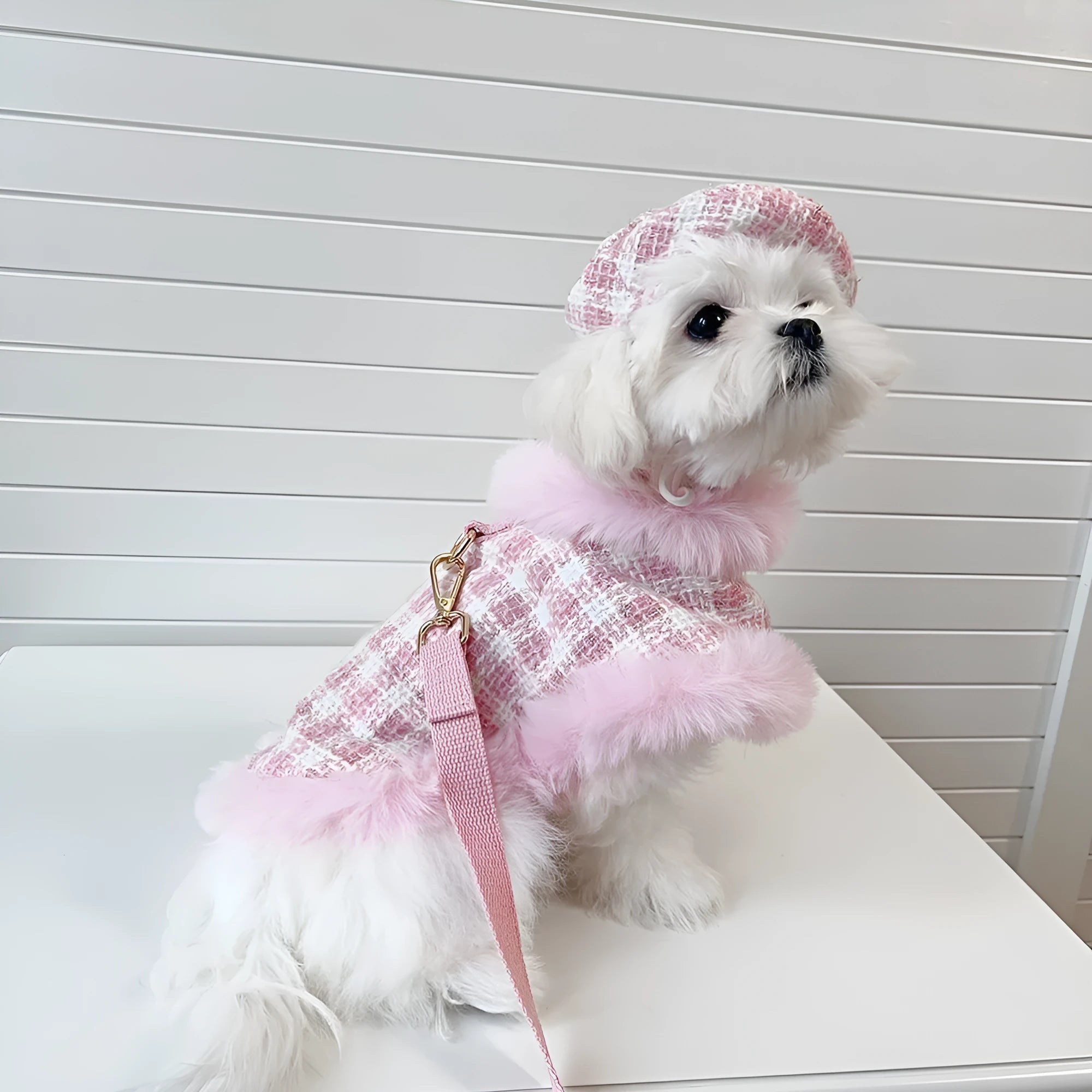 Pink polyester cat cape set with beret and drawstring for chest and back traction support