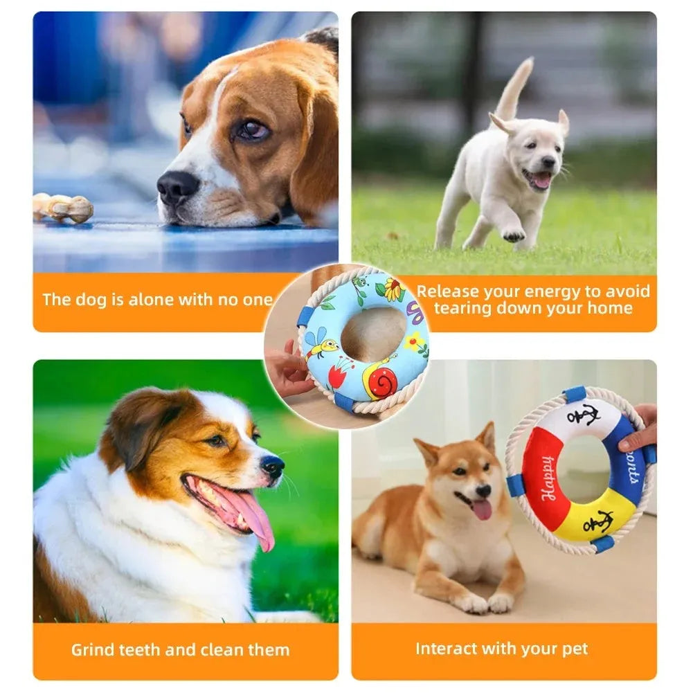 Squeaky dog training ring toy in blue, red or yellow with soft plush construction for fetch and chew games