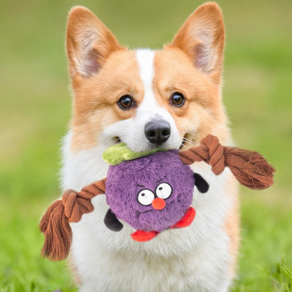 Green and purple interactive dog plush rope knot tug toy with bite-resistant texture