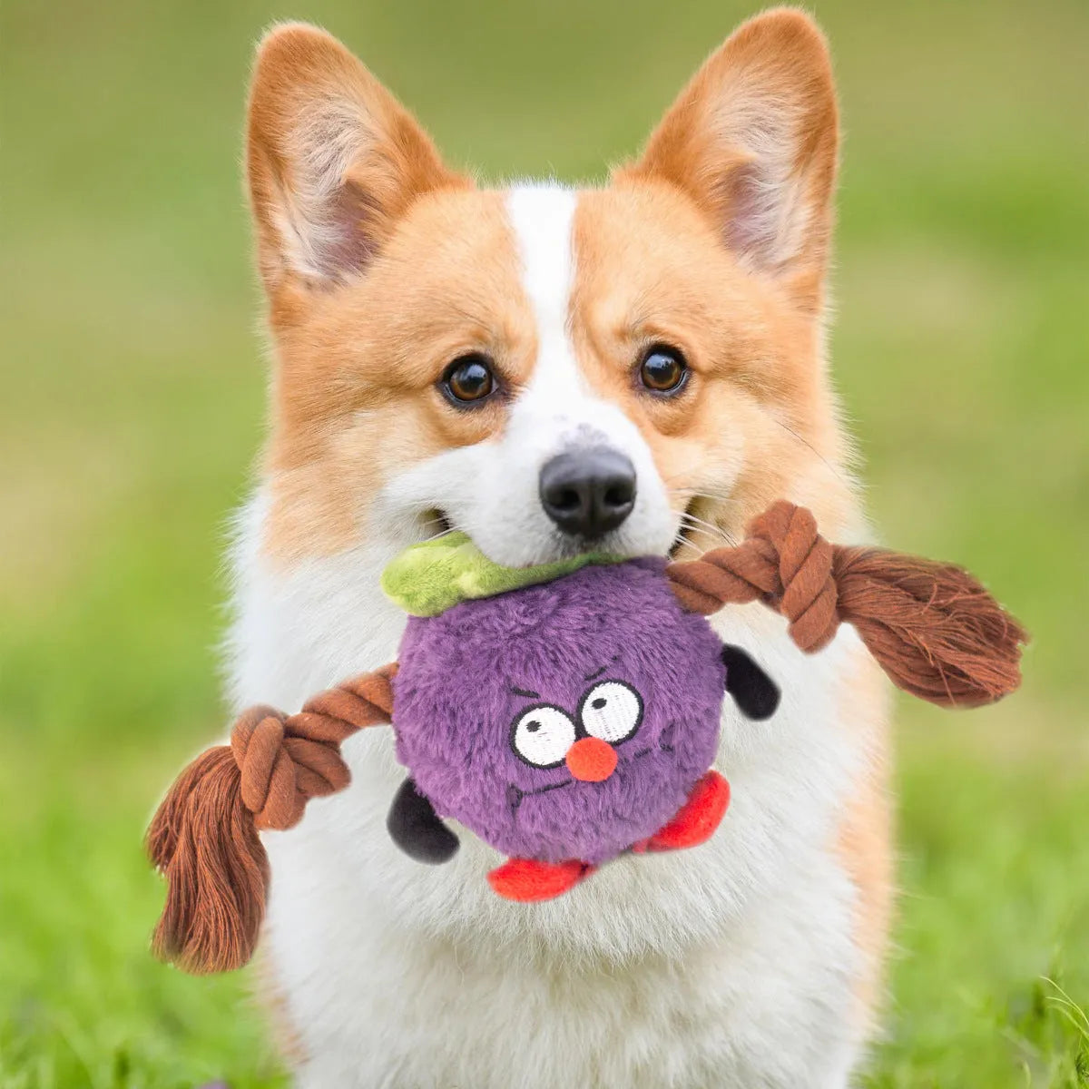 Green and purple interactive dog plush rope knot tug toy with bite-resistant texture