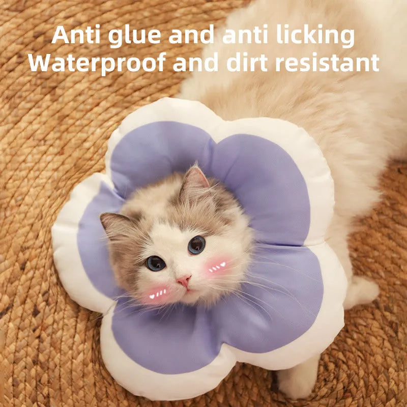 Soft cotton cat recovery collar with solar flower decoration in blue, shown on a cat's neck.
