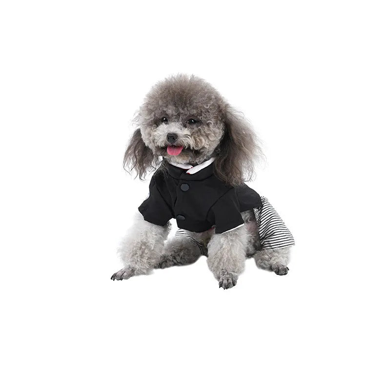 Cotton dog clothing for poodles shown in four-foot pants and skirt styles for spring, summer, and autumn wear.