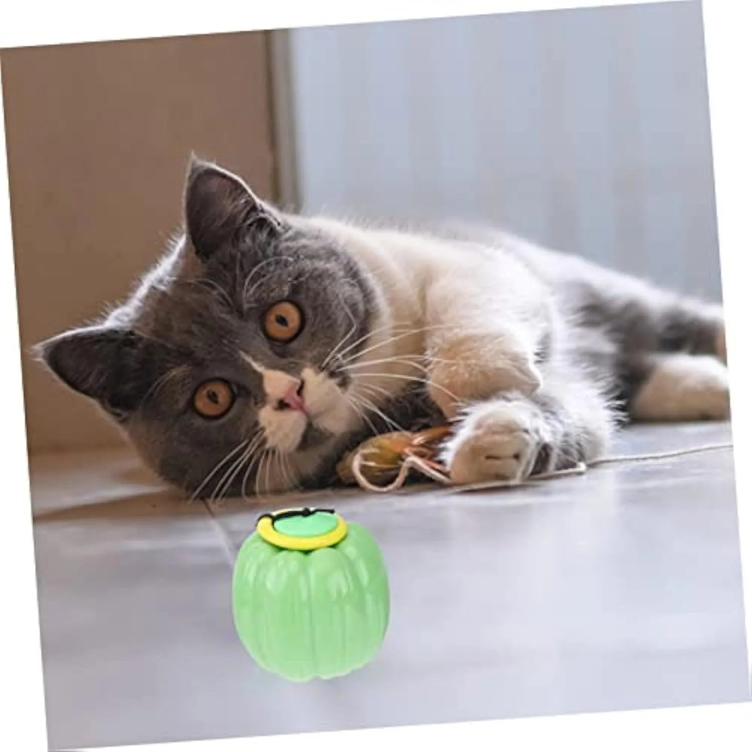 Green, orange, and yellow pumpkin-shaped dog ball toy with squeaker for small breeds, measuring 69x68x68mm