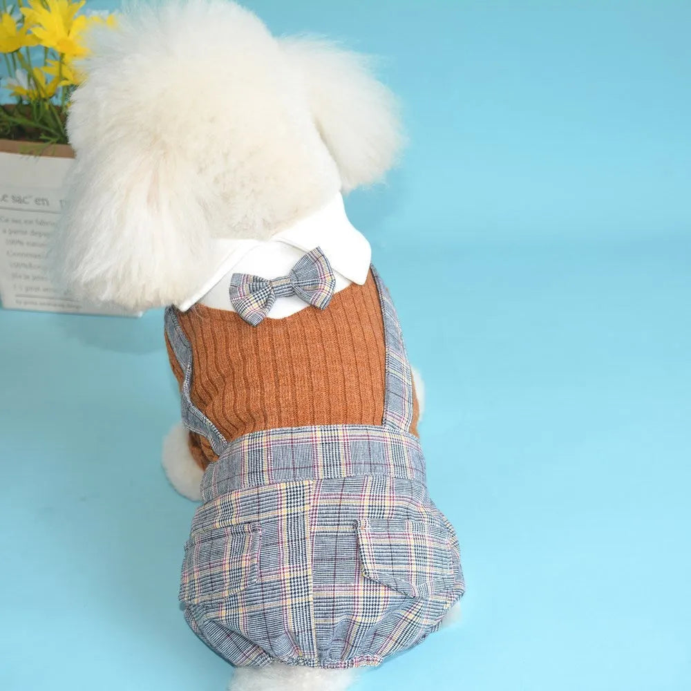 Orange cotton dog suit shirt on small dog with collar visible