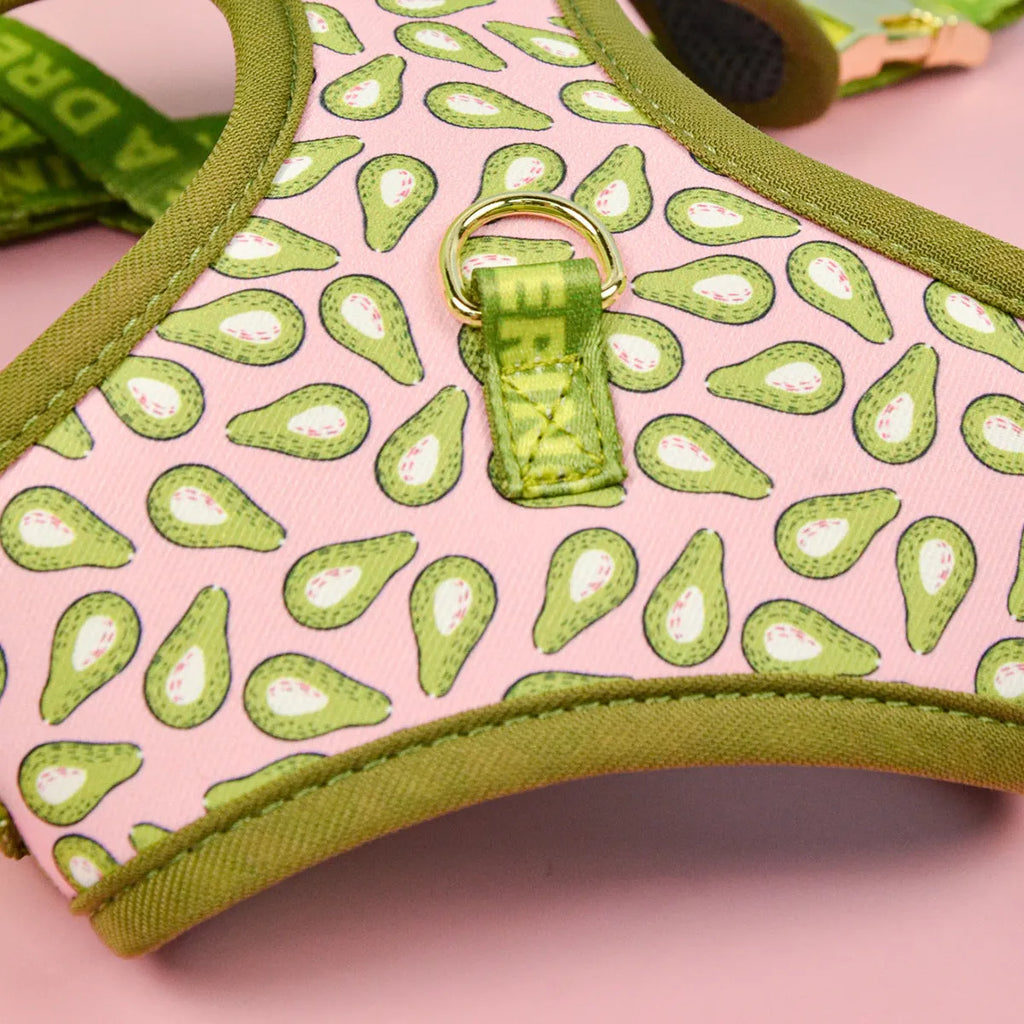 Summer dog harness and lead set in a playful pink avocado print, fitted on a medium-sized dog.