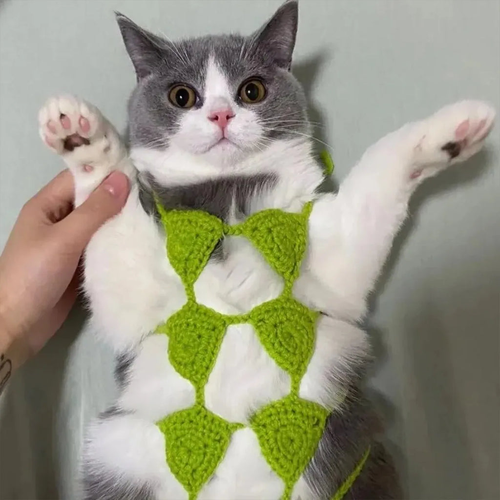 Cat wearing a polyester bikini costume in multiple colour options for Halloween or festival events