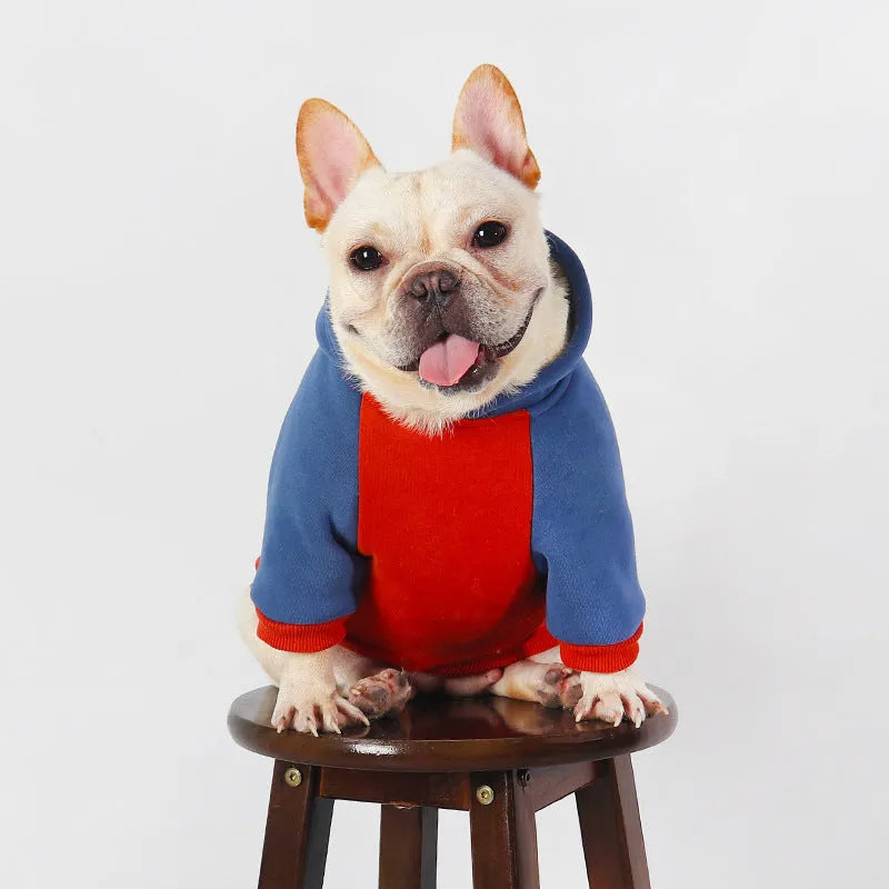 Red cotton dog sweater or clothes for small to medium-sized breeds on a white background.