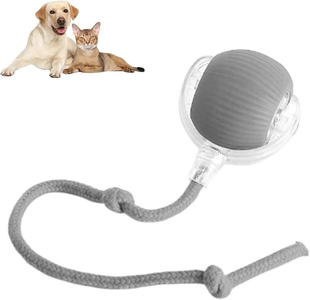 Grey automatic rolling pet ball toy with rope tail, 6.5cm diameter