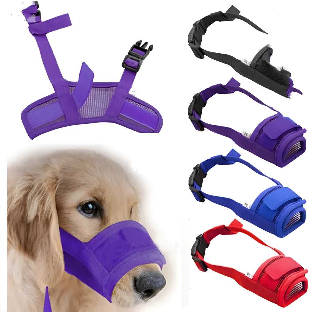 Adjustable plastic dog muzzle in black, red, blue, pink, or purple colours showing size options for biting and barking control