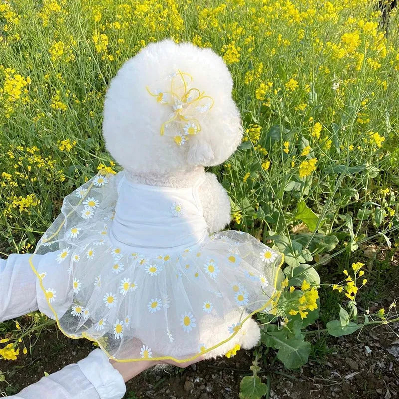 Yellow little daisy pattern dog clothes on canine model with summer thin polyester fabric