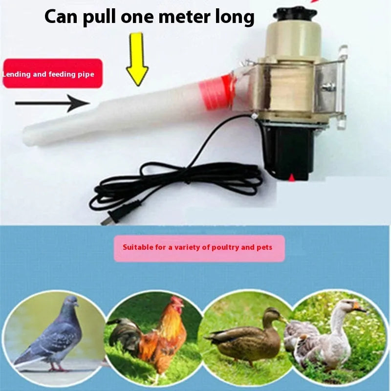 Automatic chicken and duck feeding machine with solar timer and watertight caisson for outdoor use
