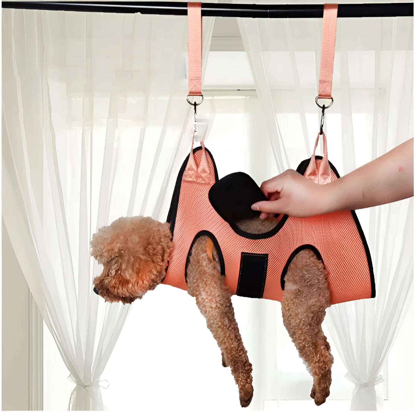 Cat grooming restraint bag with four adjustable openings hanging as a hammock