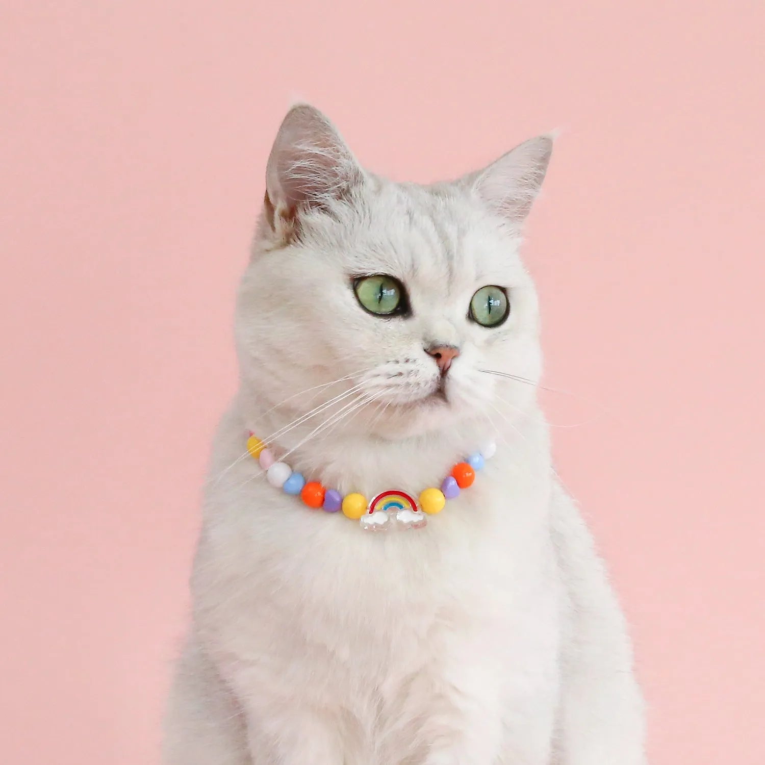 Colourful plastic bead pet necklace adjustable from 15cm to 35cm for cats and small dogs