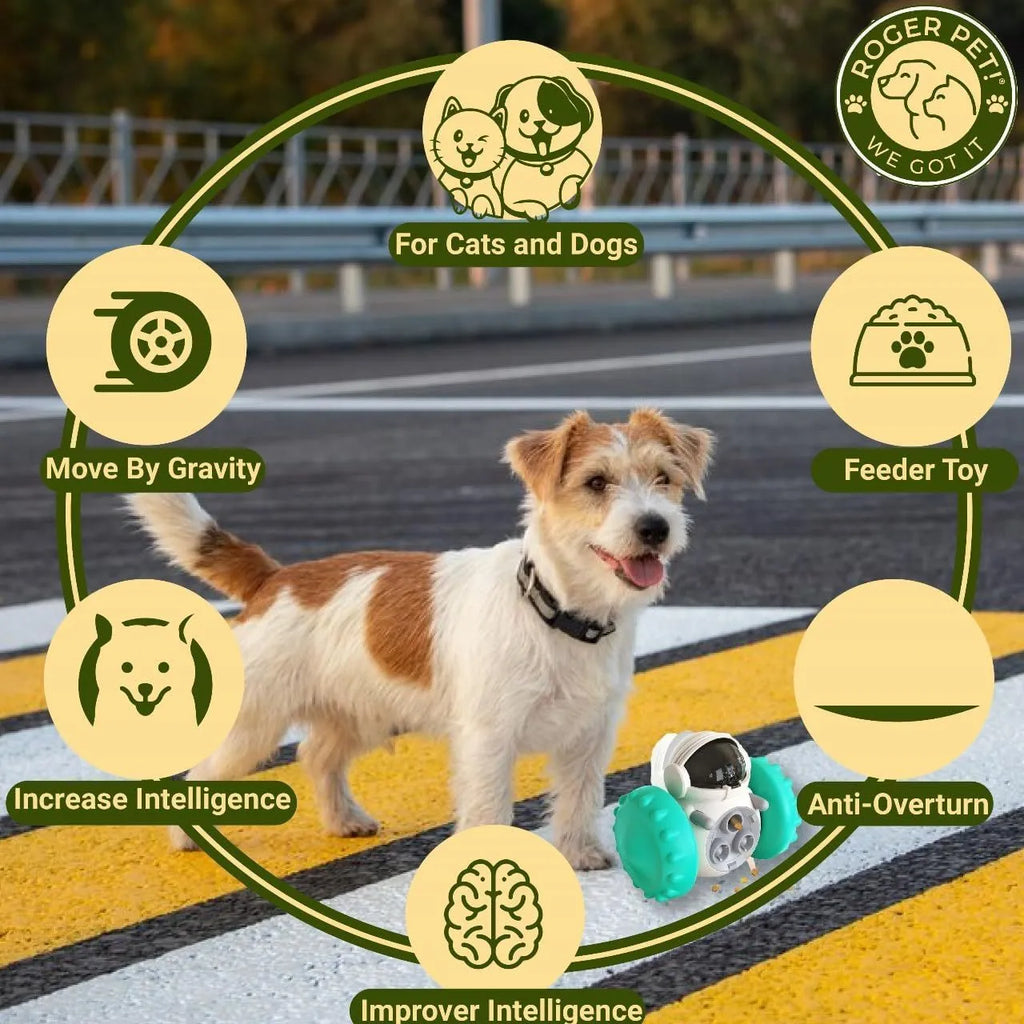 Dog treat dispenser toy with roller design in various colours, showing dimensions of 141mm x 83mm x 114mm for small pets