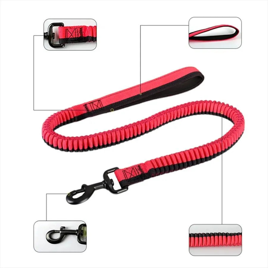 Green elastic dog training leash with 360° rotating metal clip for medium and large breed dogs