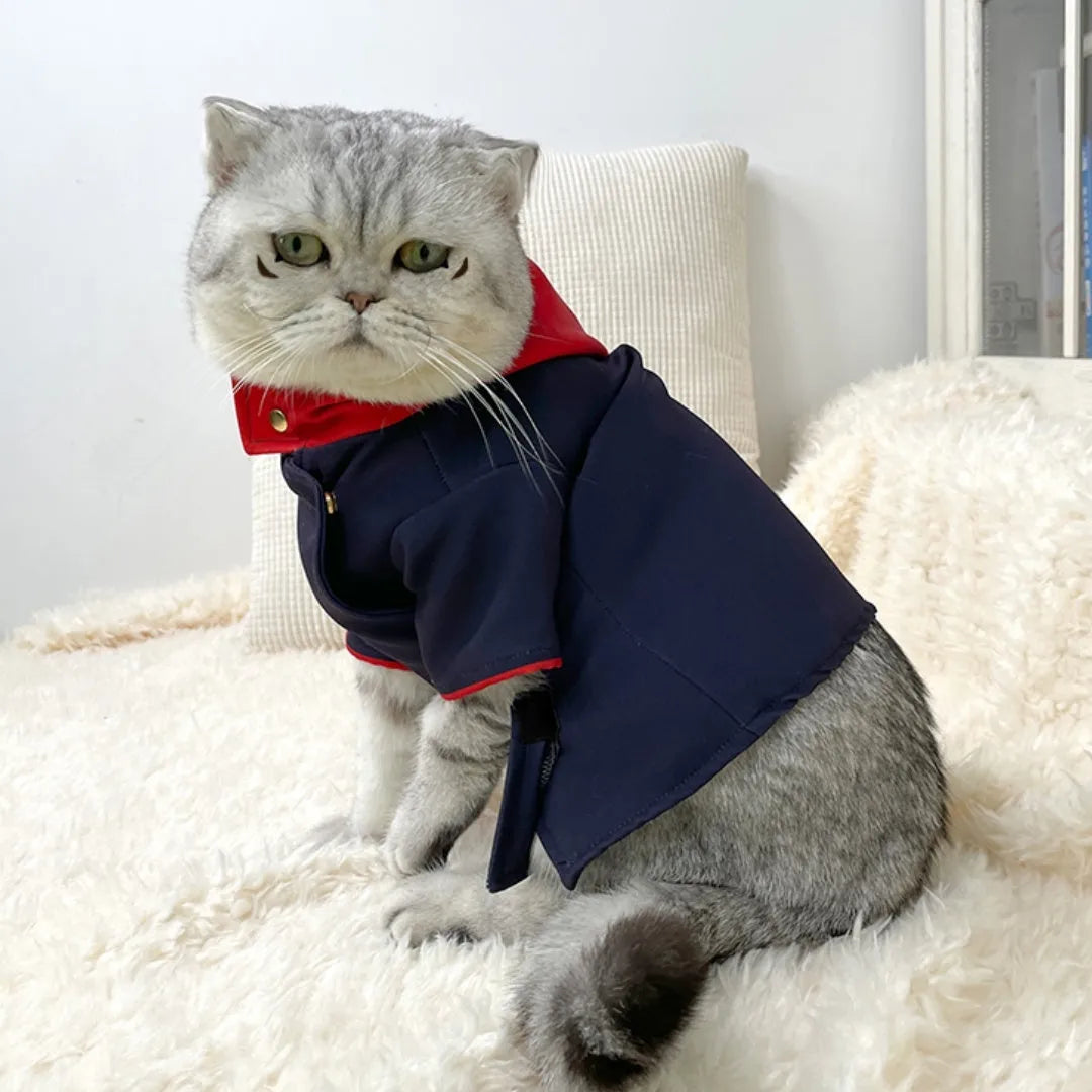Cat wearing tiger staff yuren coloured hoodie with adjustable neck opening for photography