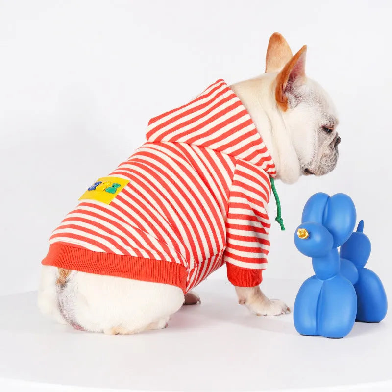 Orange cotton hooded sweater for a dog on a mannequin, showing Japanese South Korean style.