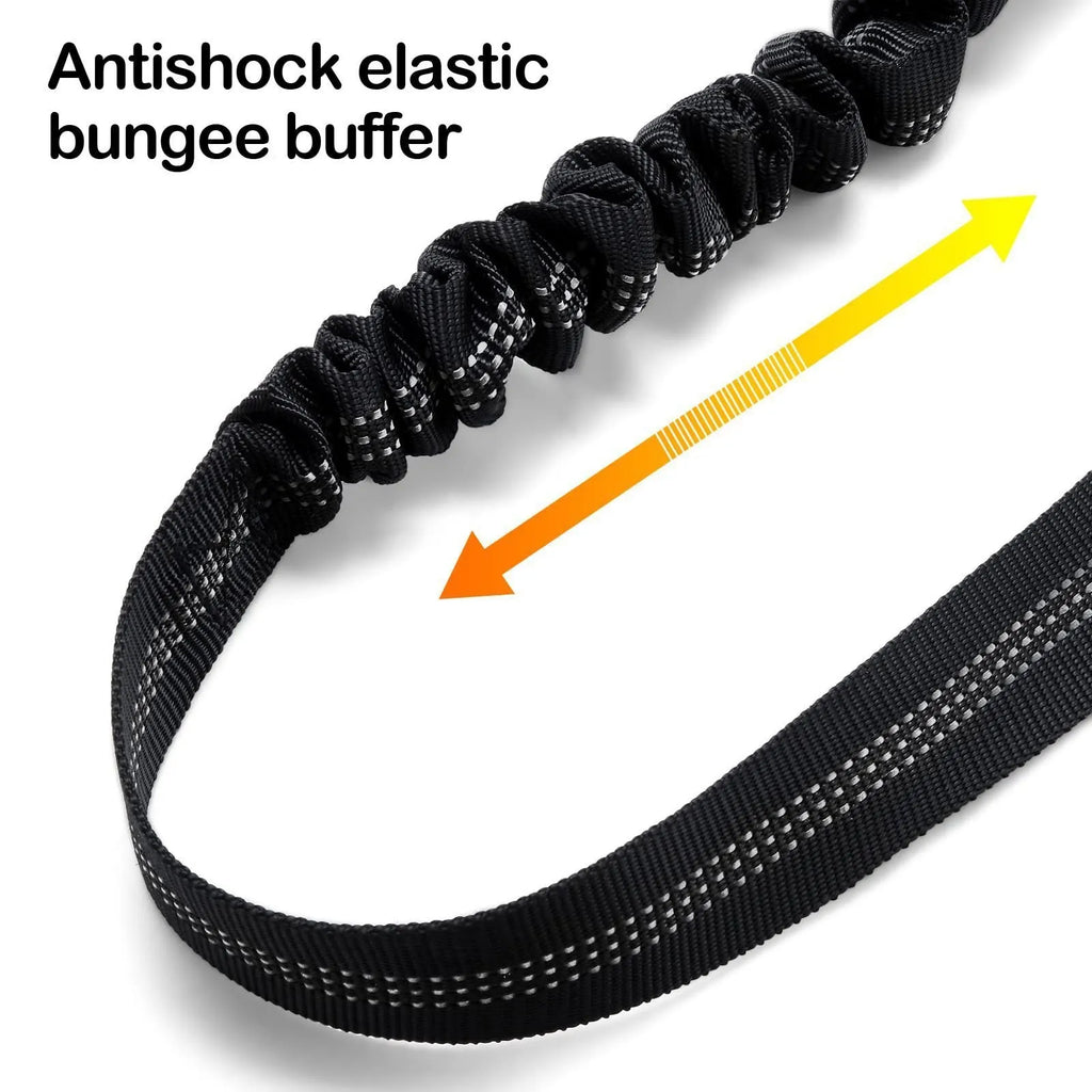 Nylon dog tow rope with metal buckle fastener in assorted colours on a white background.