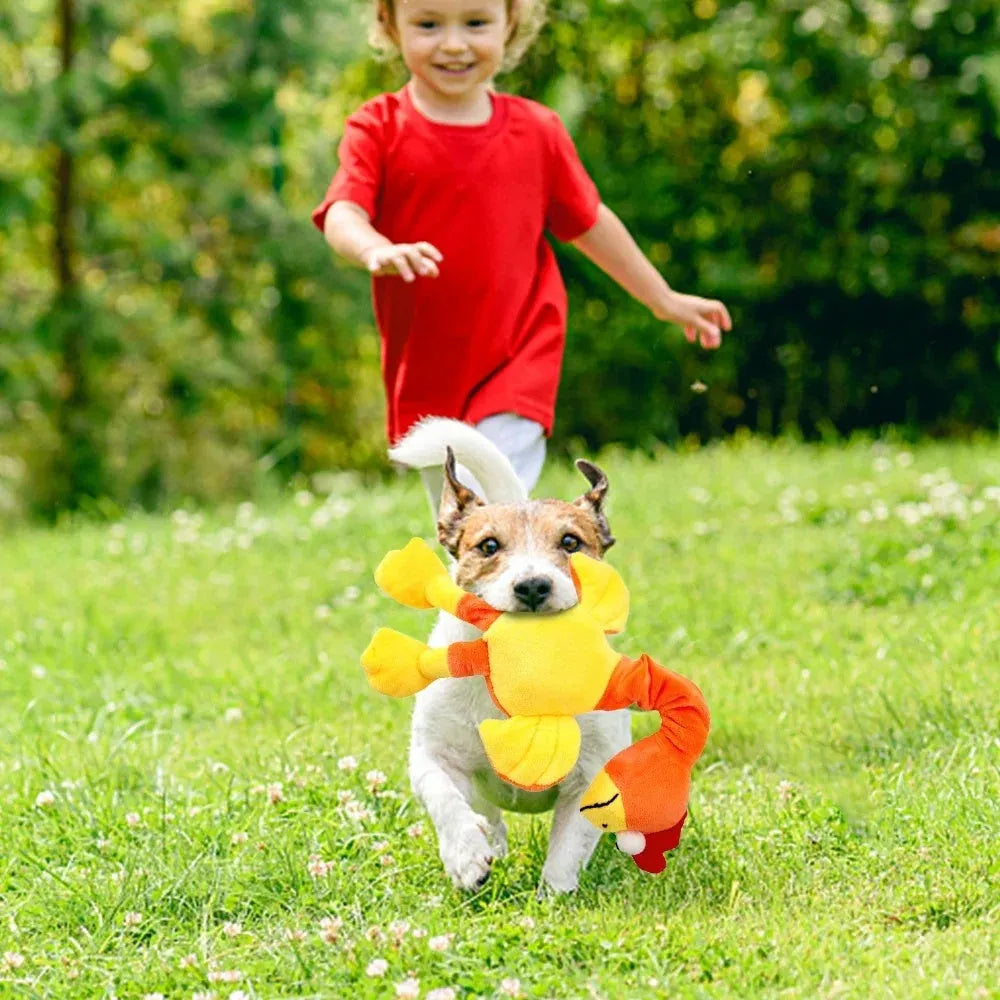 Black screaming chicken sound dog toy made of rubber, measuring 20cm long, with bite-resistant design for interactive play