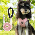 Adjustable dog vest with hand holding rope in blue colour, showing quick-release buckles and padded chest plate