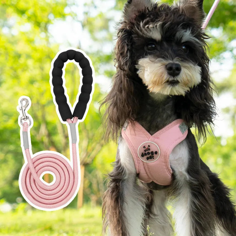 Adjustable dog vest with hand holding rope in blue colour, showing quick-release buckles and padded chest plate