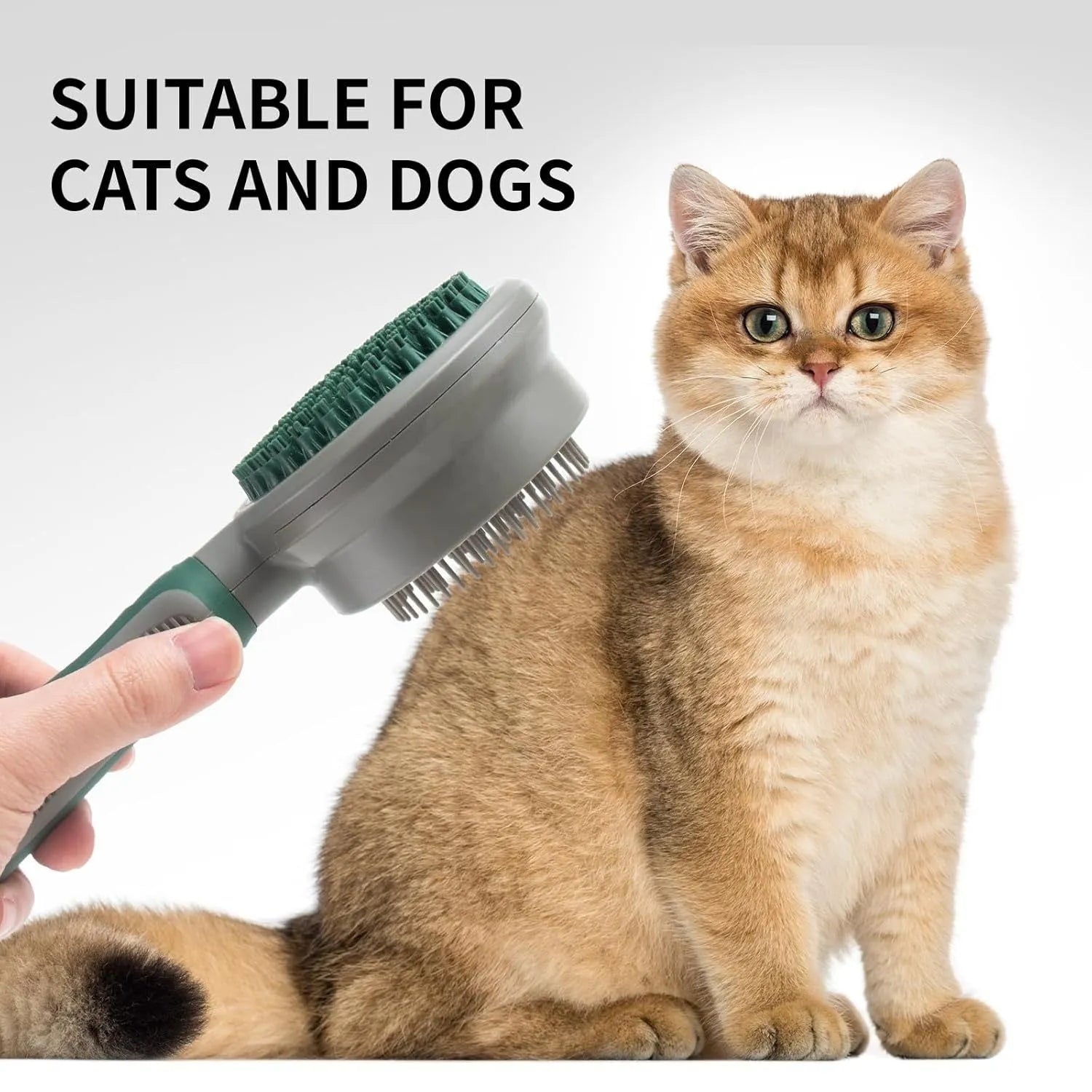 Two-sided silicone cat hair brush with retractable slicker and octopus-teethed massager in green or pink
