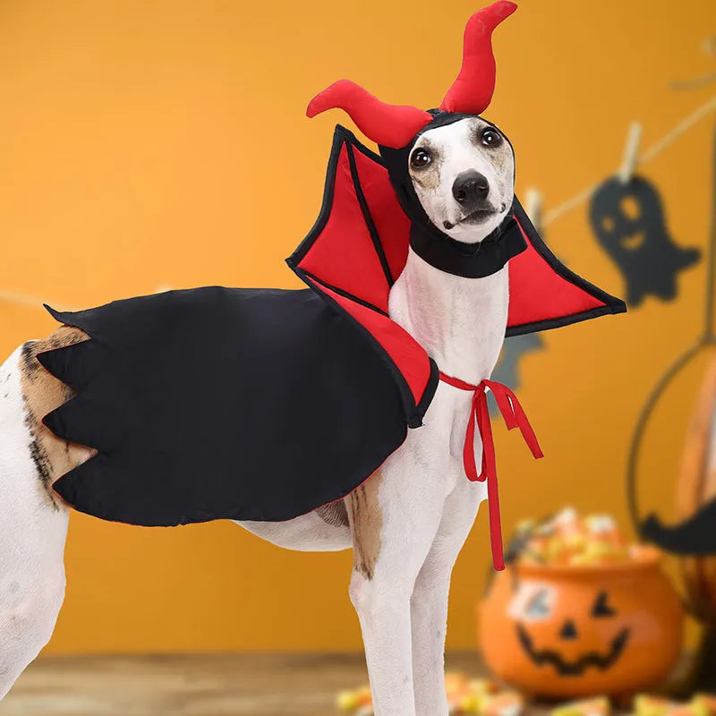Black polyester vampire cloak and hat Halloween costume for pets on small dog