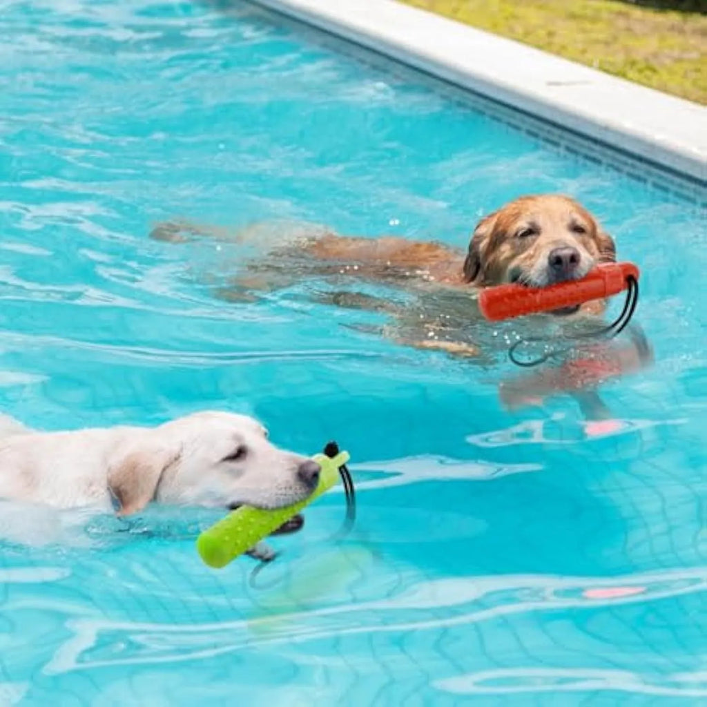 Two red and green TPR floating dog toys with rope handles for water fetching