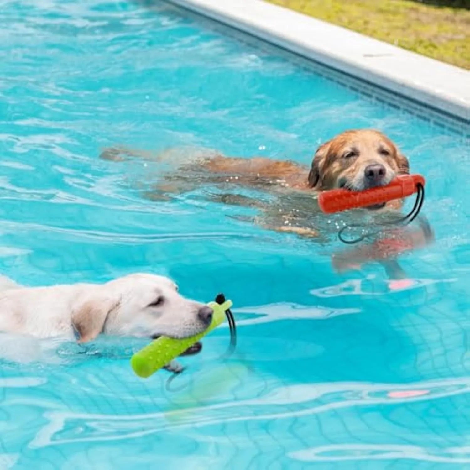 Two red and green TPR floating dog toys with rope handles for water fetching