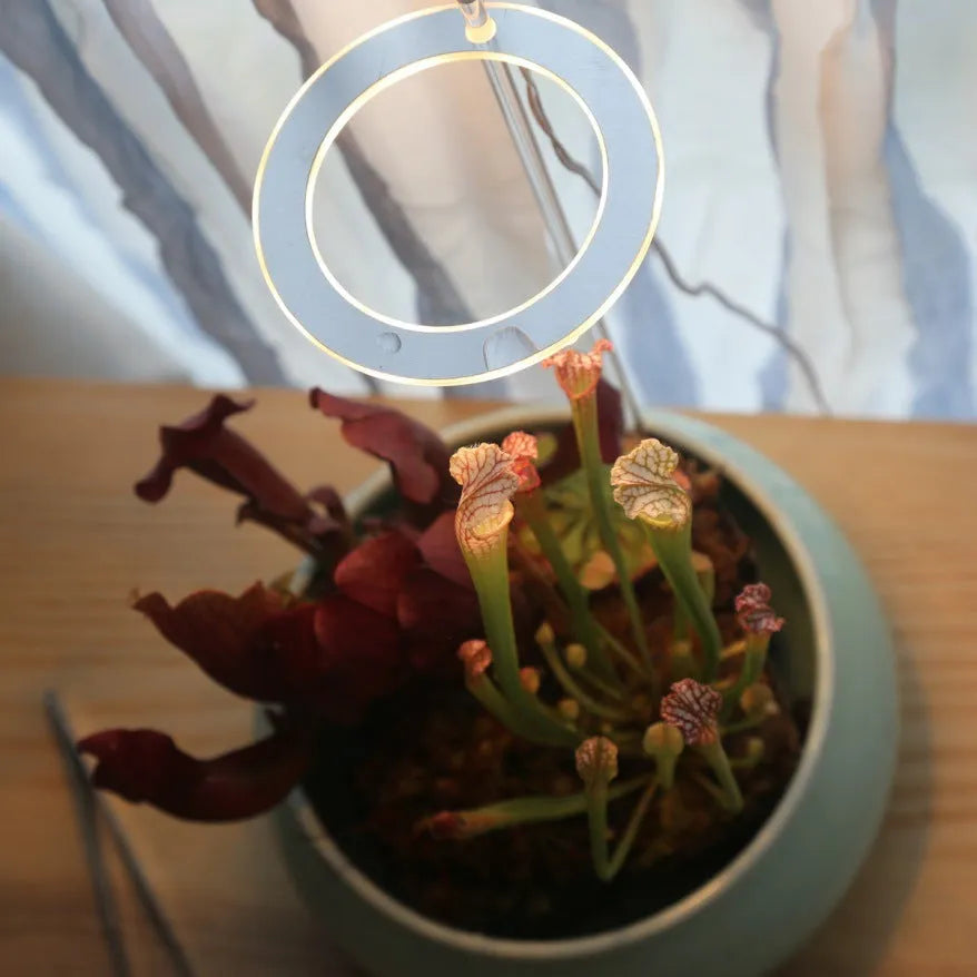 USB-powered LED grow light with transparent housing showing yellow LEDs, attached to 25cm acrylic stick for plant illumination