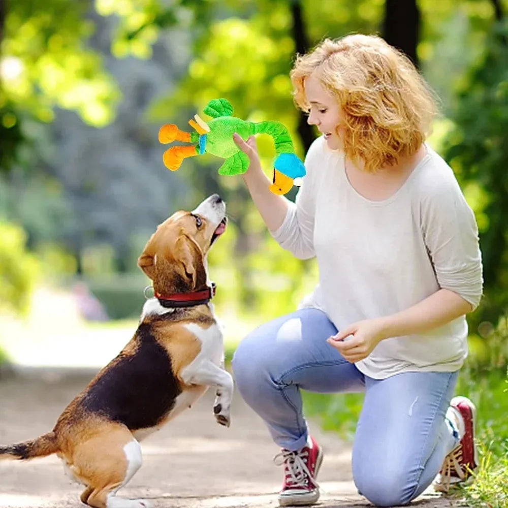 Black screaming chicken sound dog toy made of rubber, measuring 20cm long, with bite-resistant design for interactive play