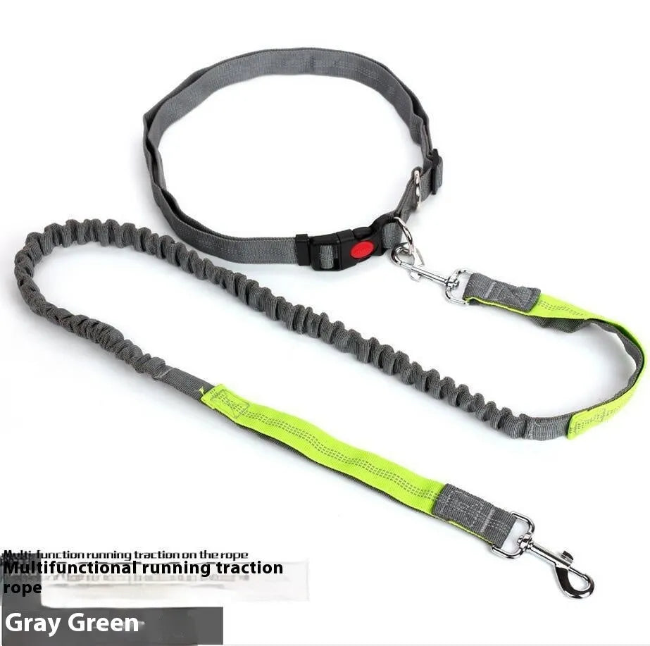 Grey and green nylon dog leash with elastic and reflective strips, shown with a 2.5cm width measurement.