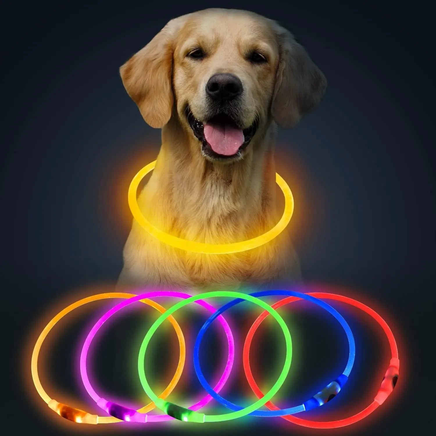 USB-rechargeable LED dog collar glowing in blue with adjustable 70cm length for pet safety