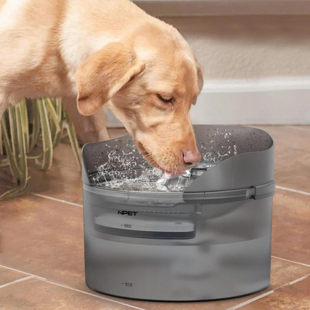 Automatic circulating water dispenser for cats and dogs with filter cartridge on a kitchen floor.