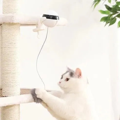 White electric interactive cat toy with 7cm ball and rope plus real fur ball accessory for indoor cats