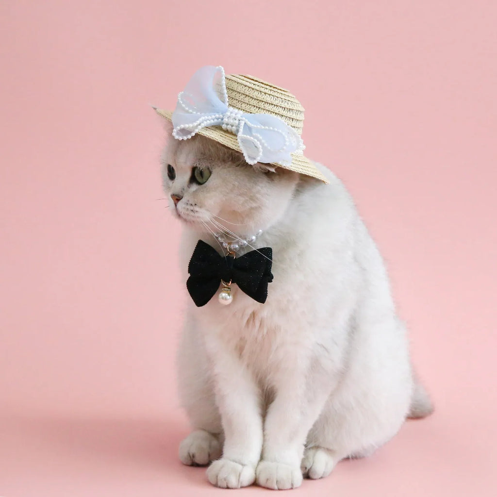 Pet cat wearing a straw hat with pearl bow in blue, sizes 13cm and 15cm, made from Lafite leaves.