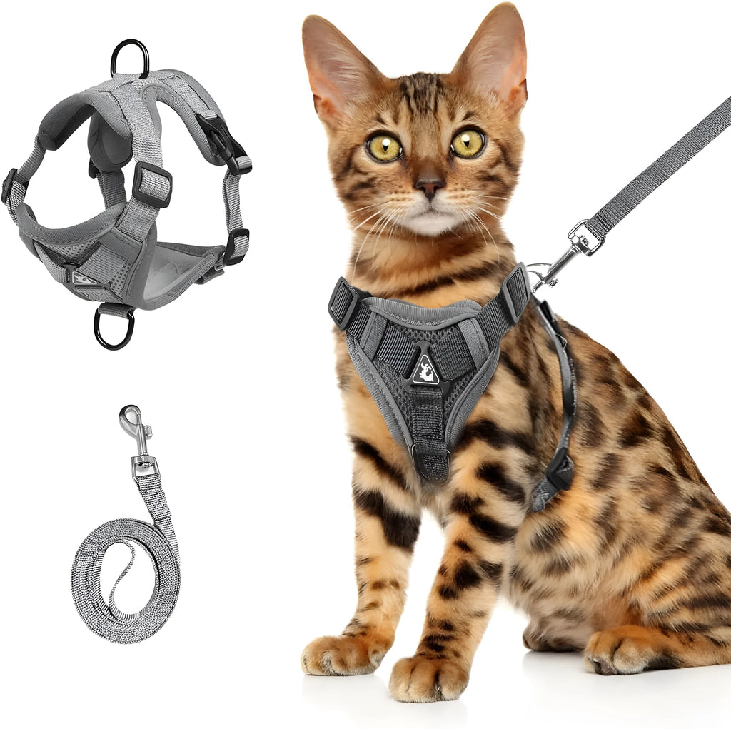 Adjustable mesh cat harness with leash showing reflective strips and secure snap fastenings