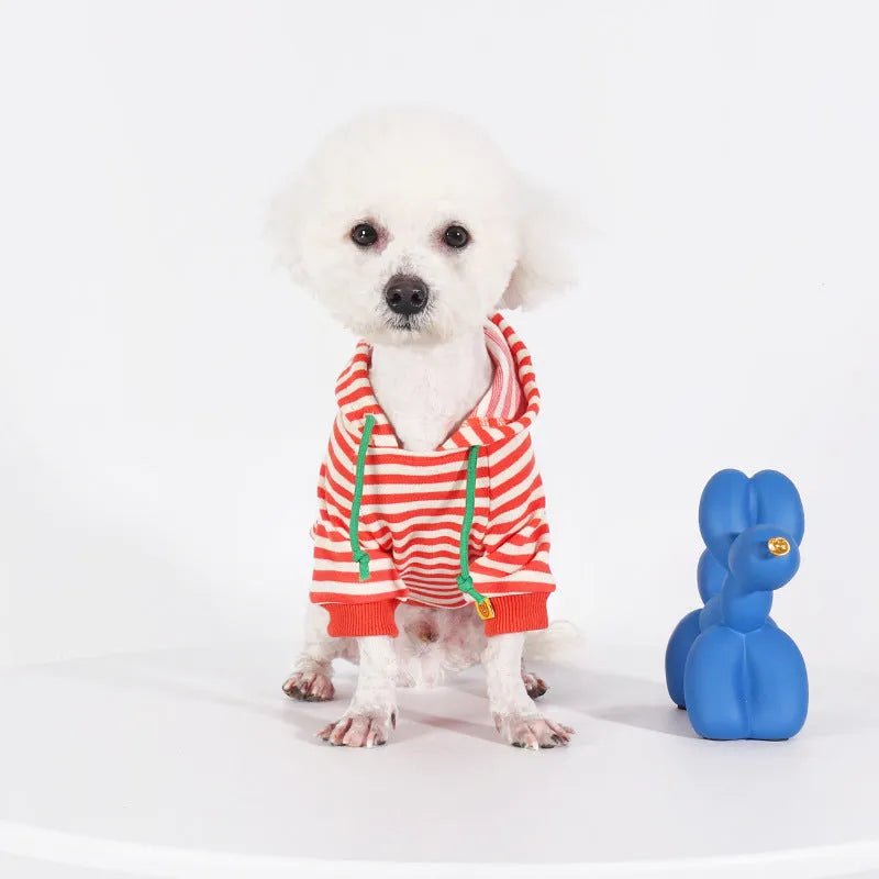 Orange cotton hooded sweater for a dog on a mannequin, showing Japanese South Korean style.