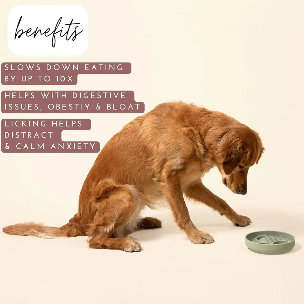 Silicone slow feeder bowl for dogs with ridges and nooks, available in beige, charcoal ash, gray blue, mango yellow, mustard green, or red.