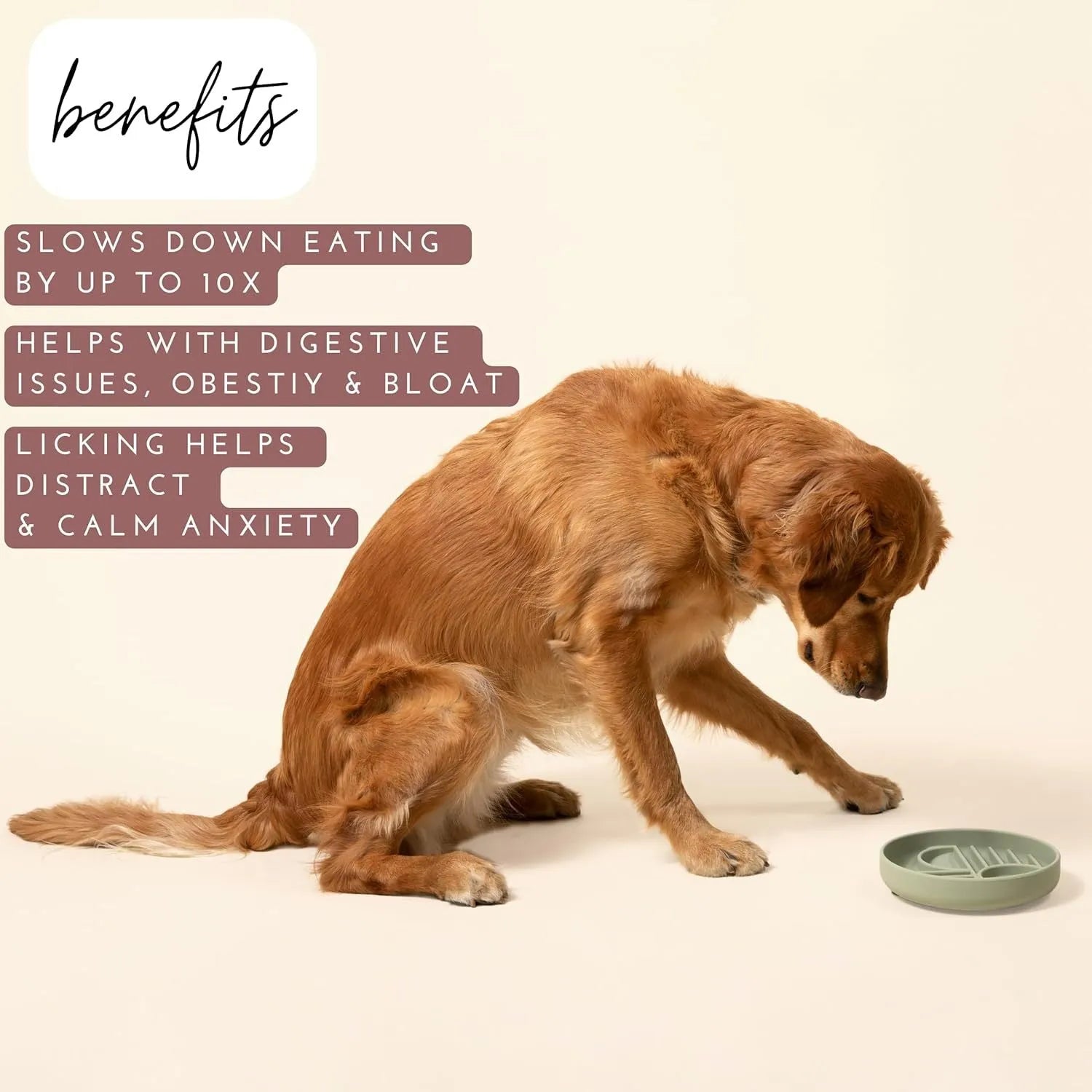 Silicone slow feeder bowl for dogs with ridges and nooks, available in beige, charcoal ash, gray blue, mango yellow, mustard green, or red.