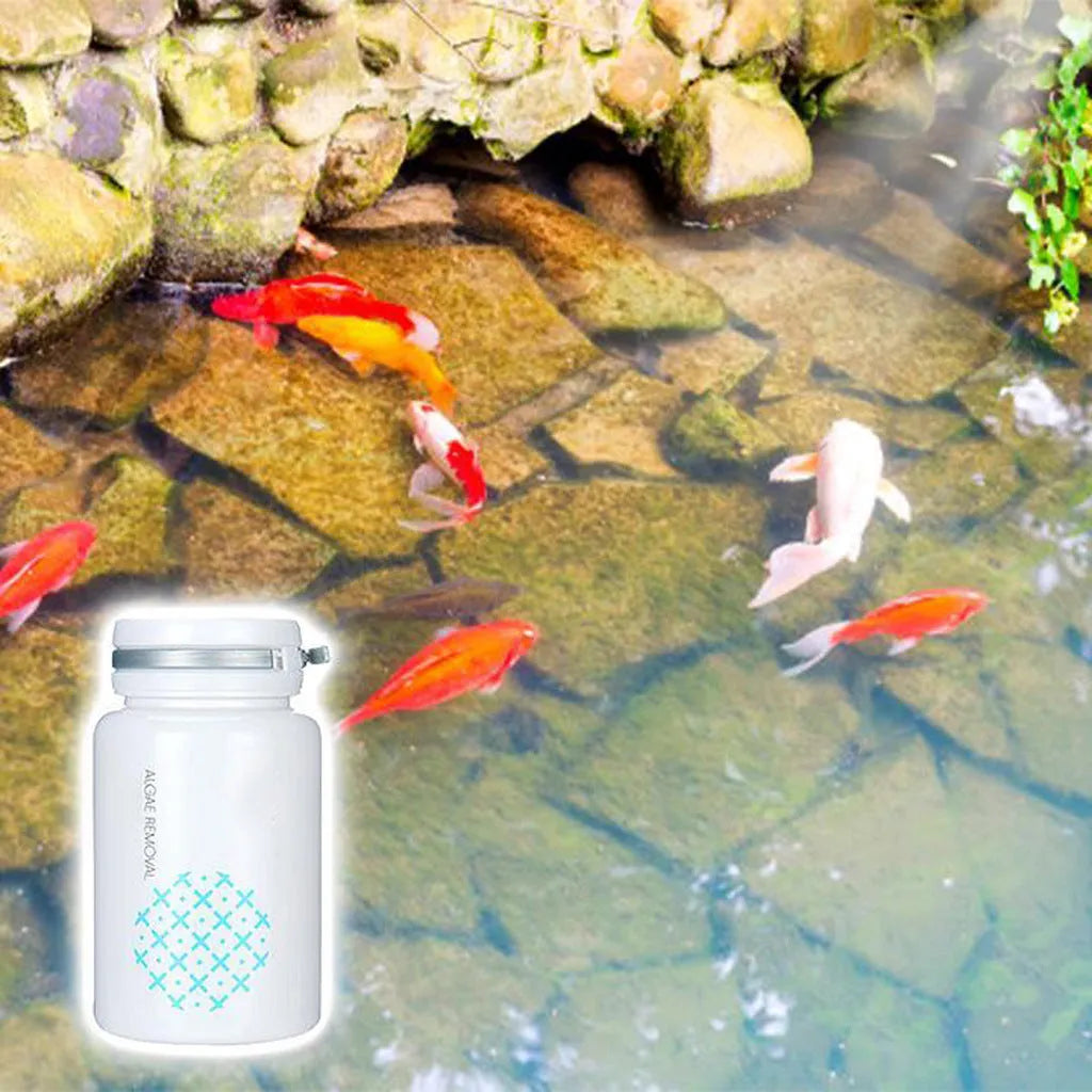 50g bottle or packet of algaecide for swimming pool and aquarium algae control.