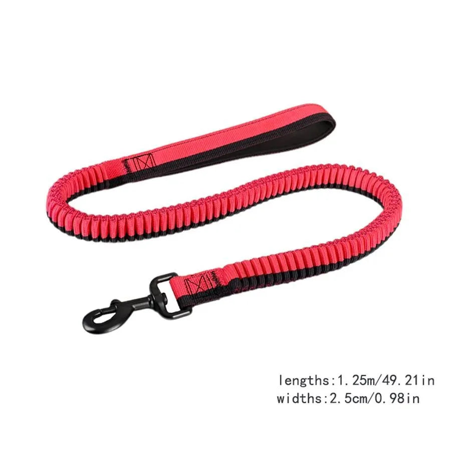 Green elastic dog training leash with 360° rotating metal clip for medium and large breed dogs