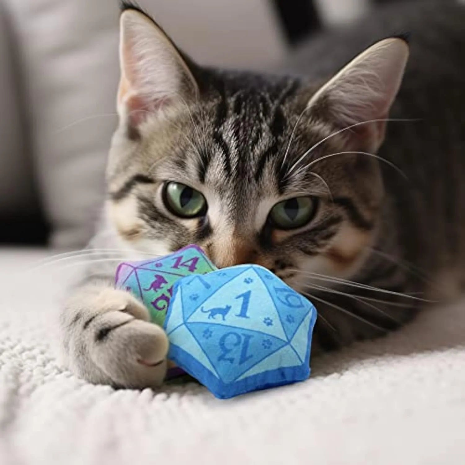 Dice-shaped plush cat toy in various colours with D&D design for feline play