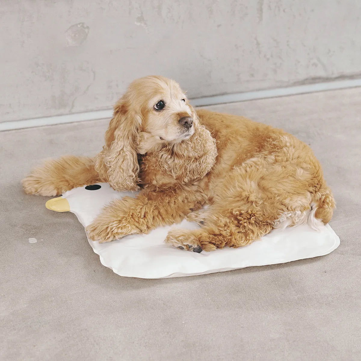 Blue chick-shaped washable pet cooling mat on a wooden floor.