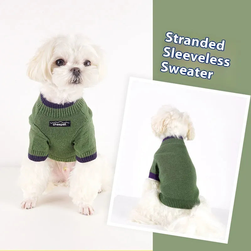 Contrast colour two-leg wool pet sweater for a small dog in Crown Blue.