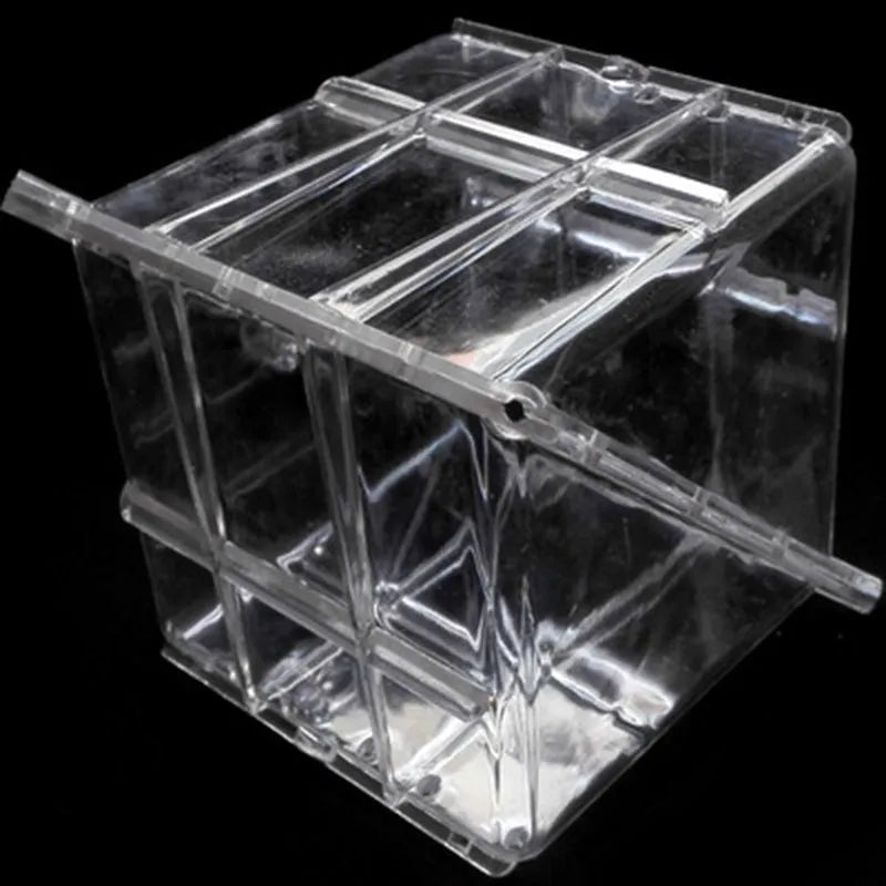 Square plastic growth mould for shaping watermelons and fruit to a 13cm cube size.