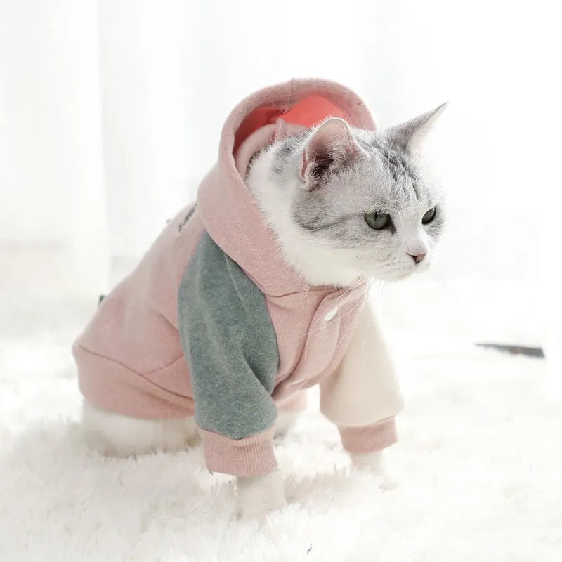 Brown cotton pet sweatshirt for a dog, showing leisure-style design.