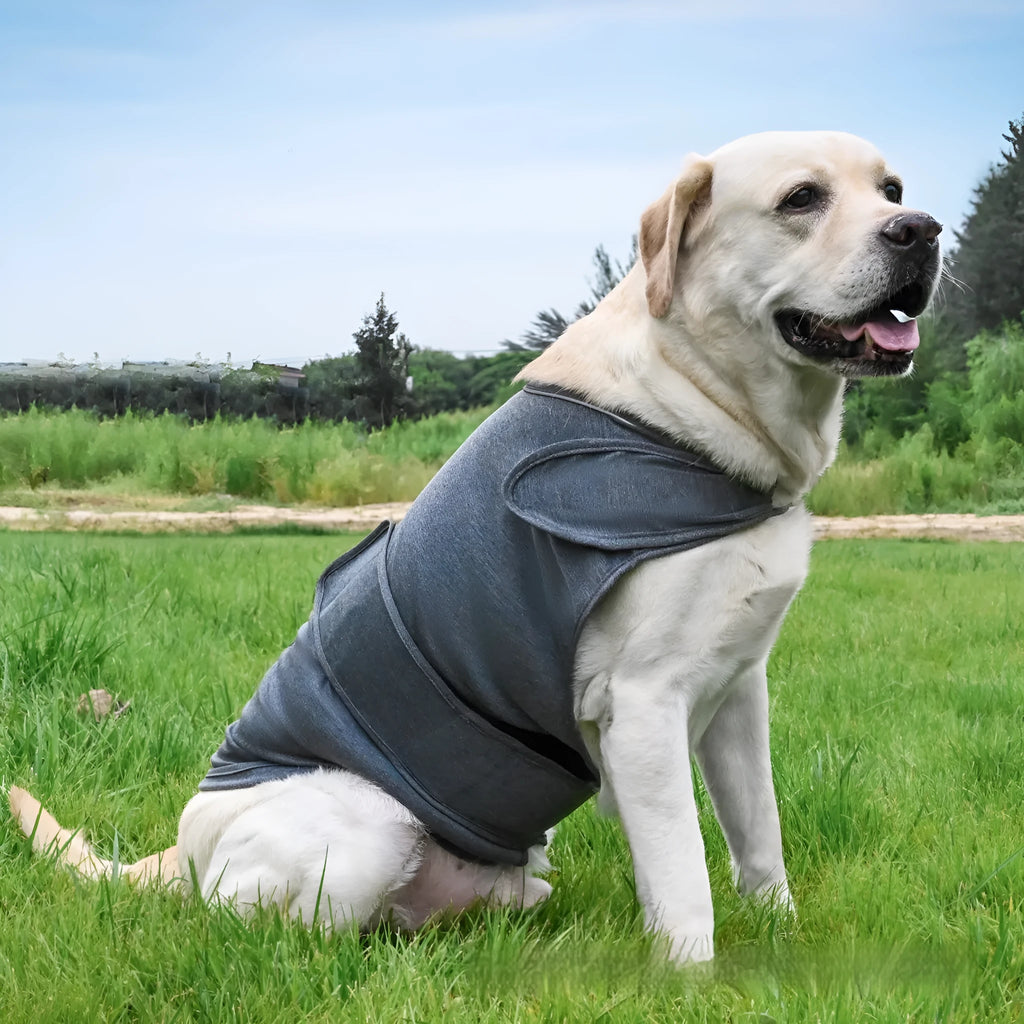 Dog wearing brown separation anxiety tank top made from brocade cotton fabric