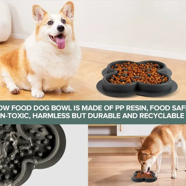 Silicone pet licking pad measuring 19cm by 21cm with non-slip base in various colour options
